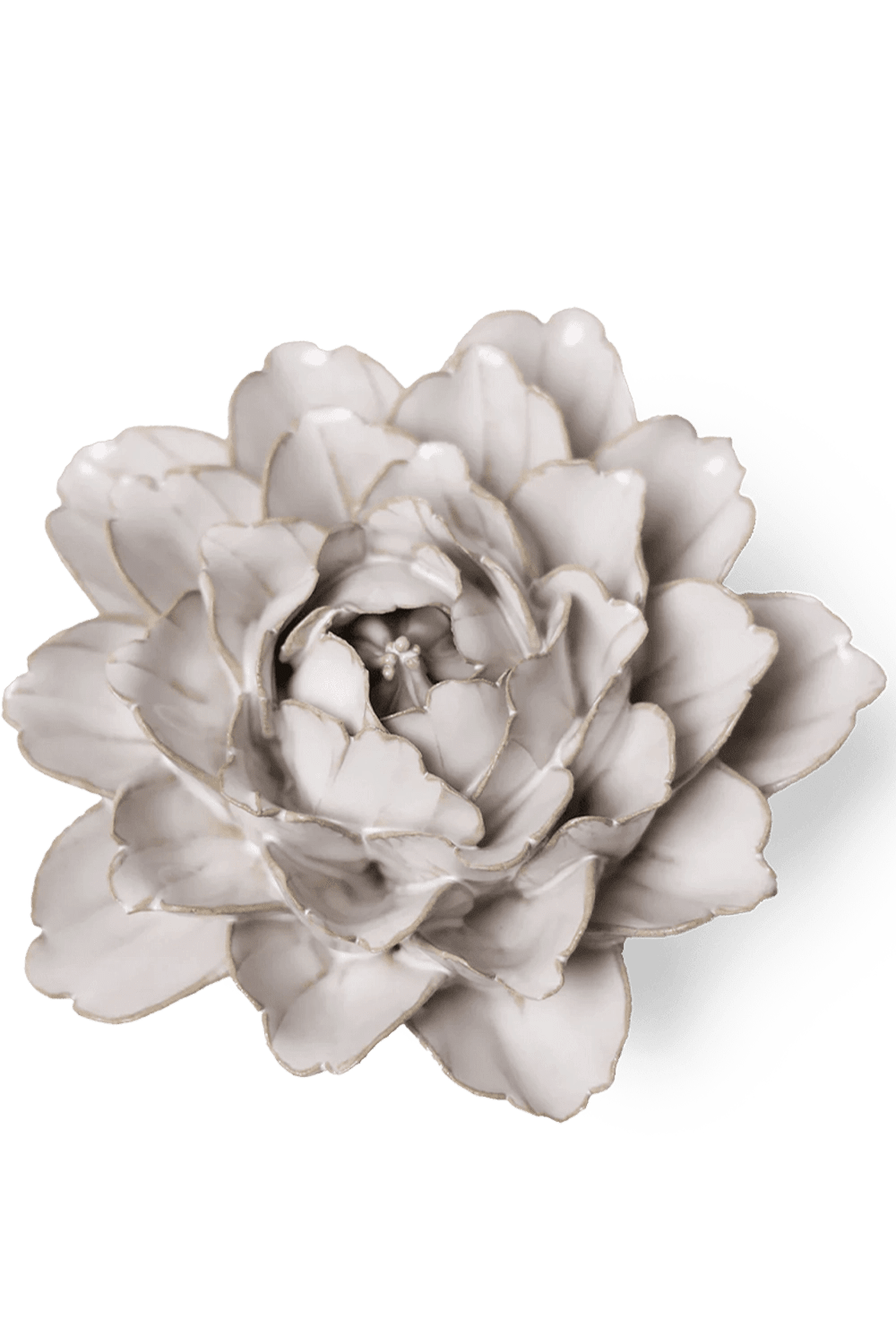 Ivory Comanche Peony - Chive UK