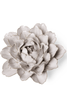 Ivory Comanche Peony - Chive UK