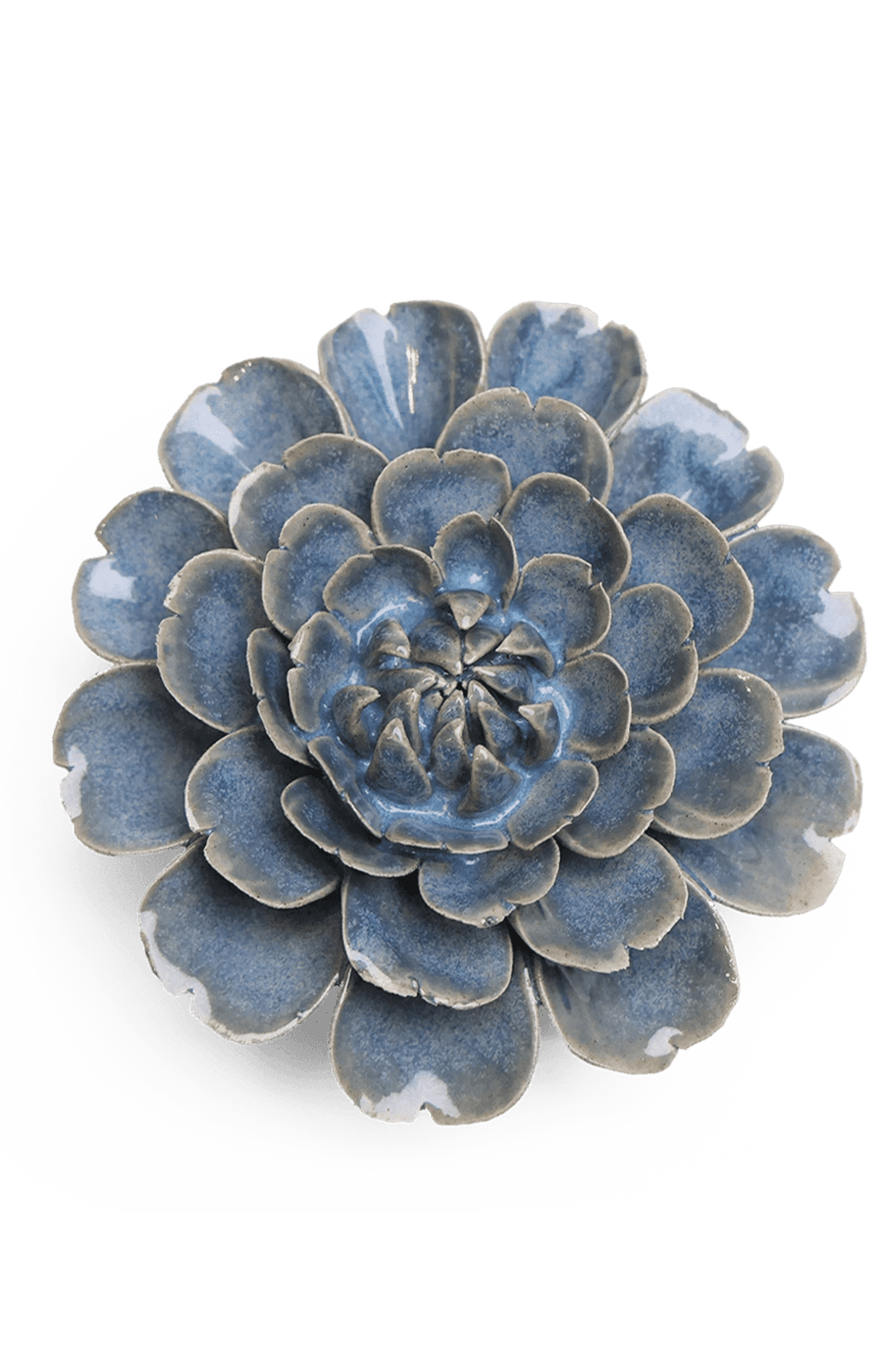 Fancy Blue Fiesta Marigold - Chive UK