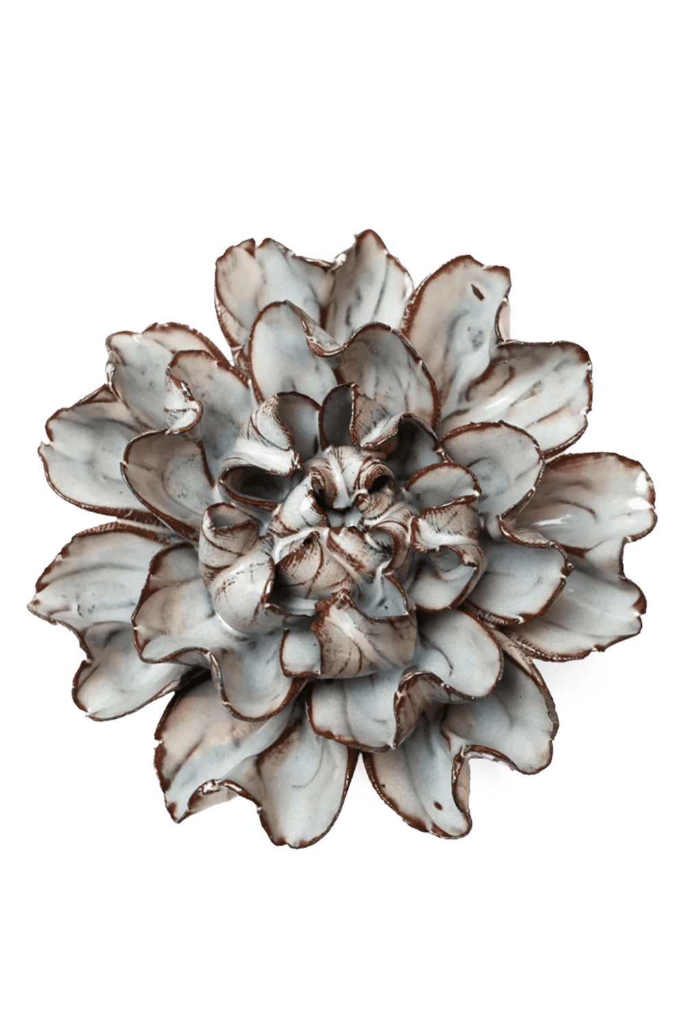 Chocolate Mint Echo Lisianthus - Chive UK