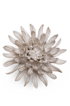 Ivory Spider Mum - Chive UK