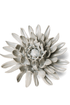 Panache Green Spider Mum - Chive UK