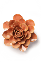 France Peach Pink Begonia - Chive UK