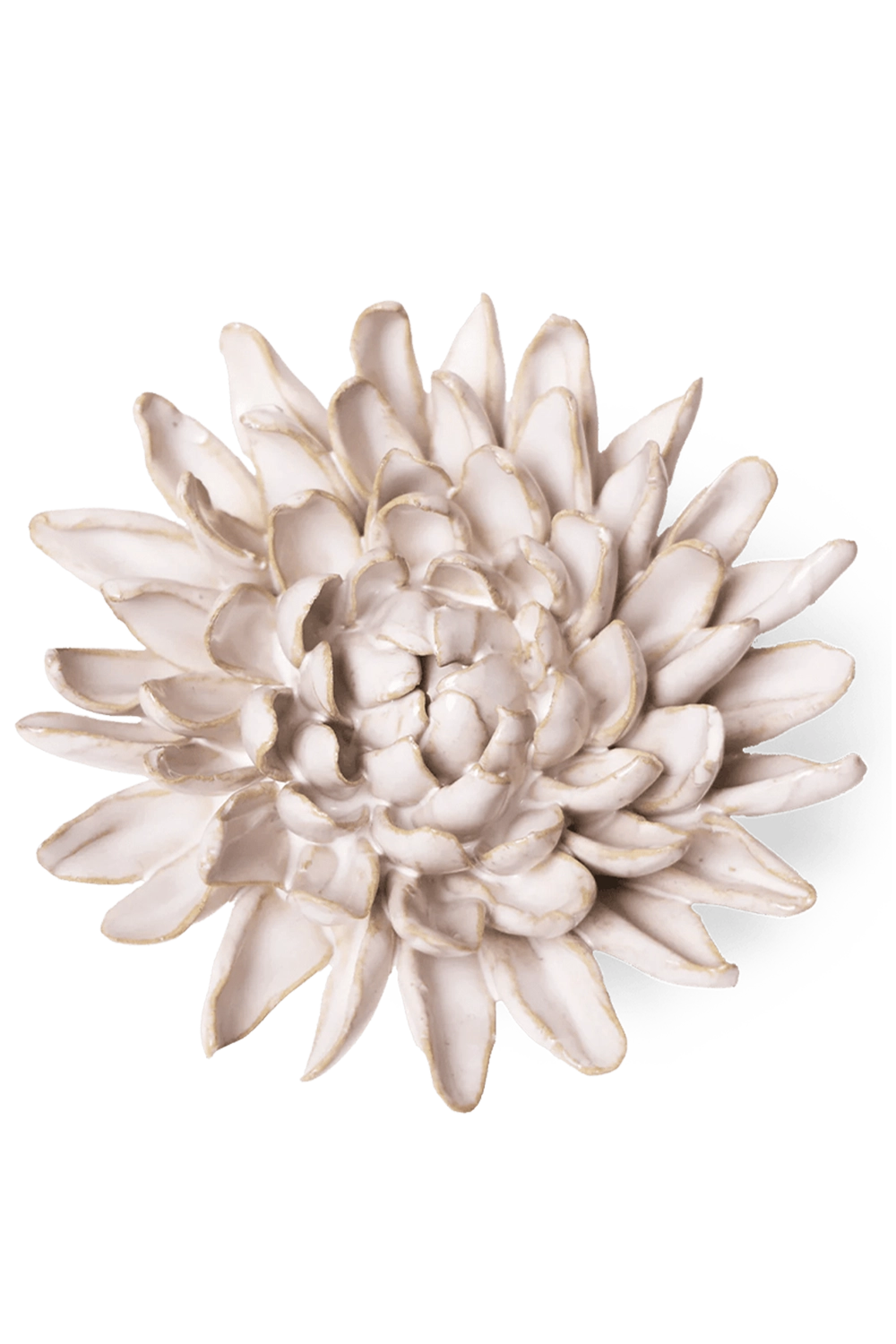 Ivory - Chrysanthemum - handmade by Chive Studio Toronto