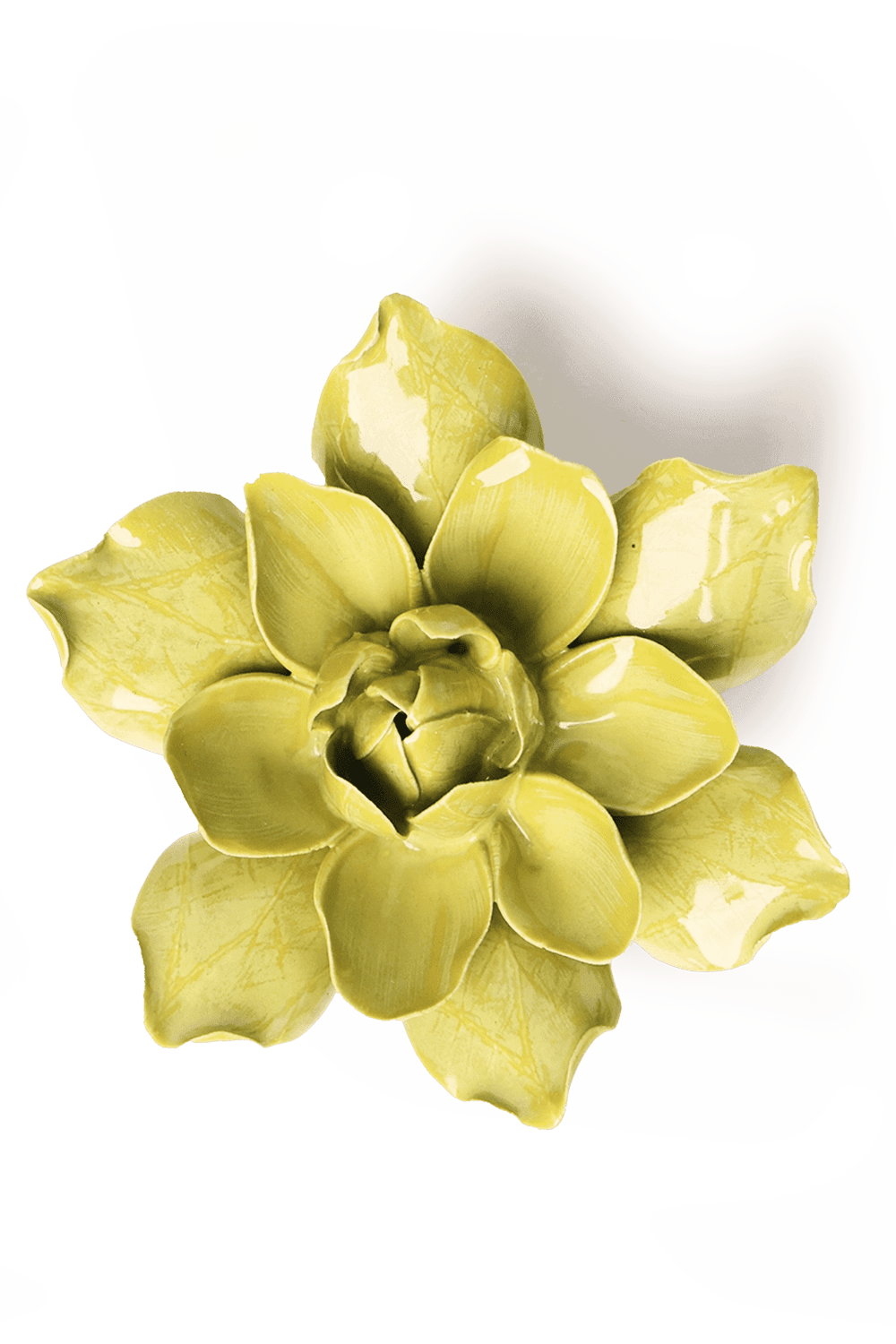 Chartreuse Columbine - Chive UK