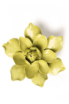 Chartreuse Columbine - Chive UK