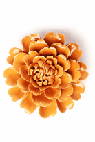 Orange Fiesta Marigold - Chive UK