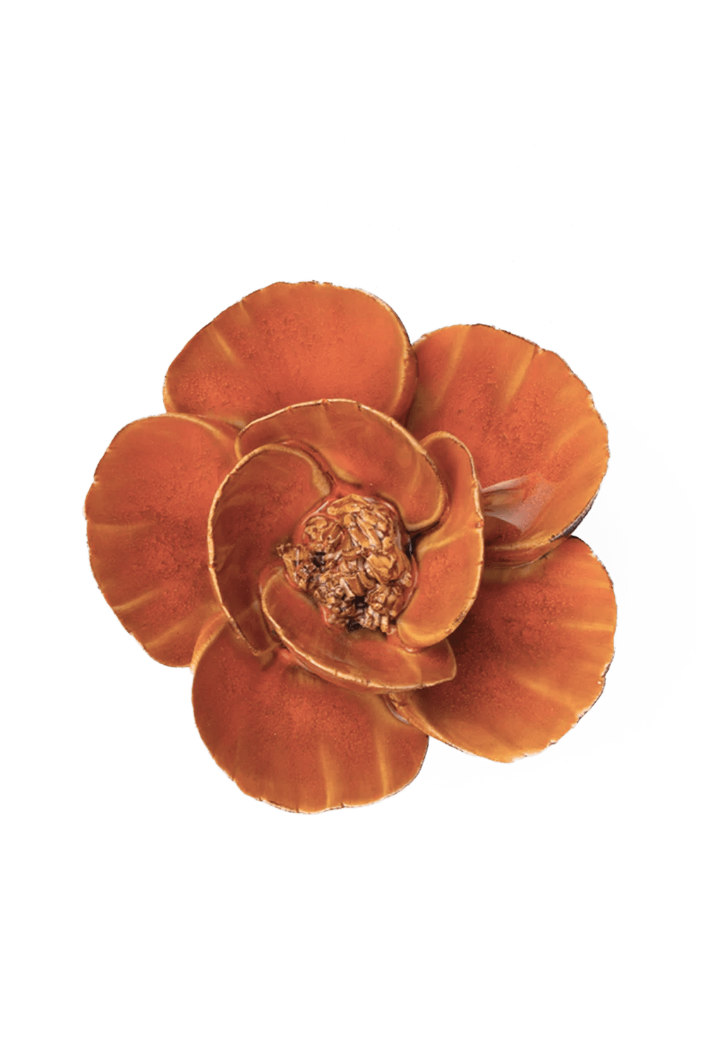 Burnt Orange Poppy - Chive UK