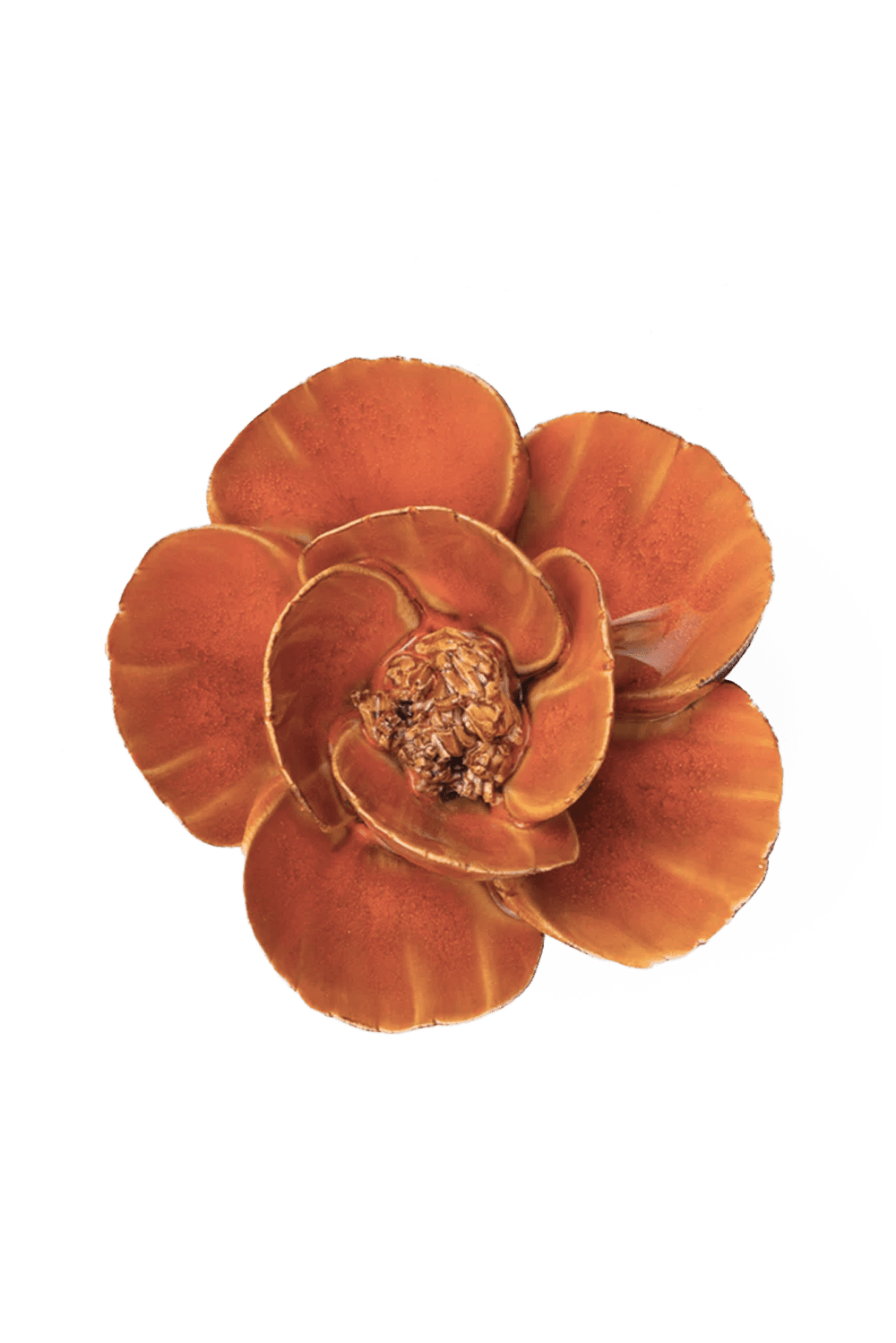 Burnt Orange Poppy - Chive UK