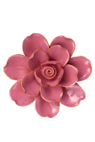Blush Pink Tahitian Gardenia - Chive UK