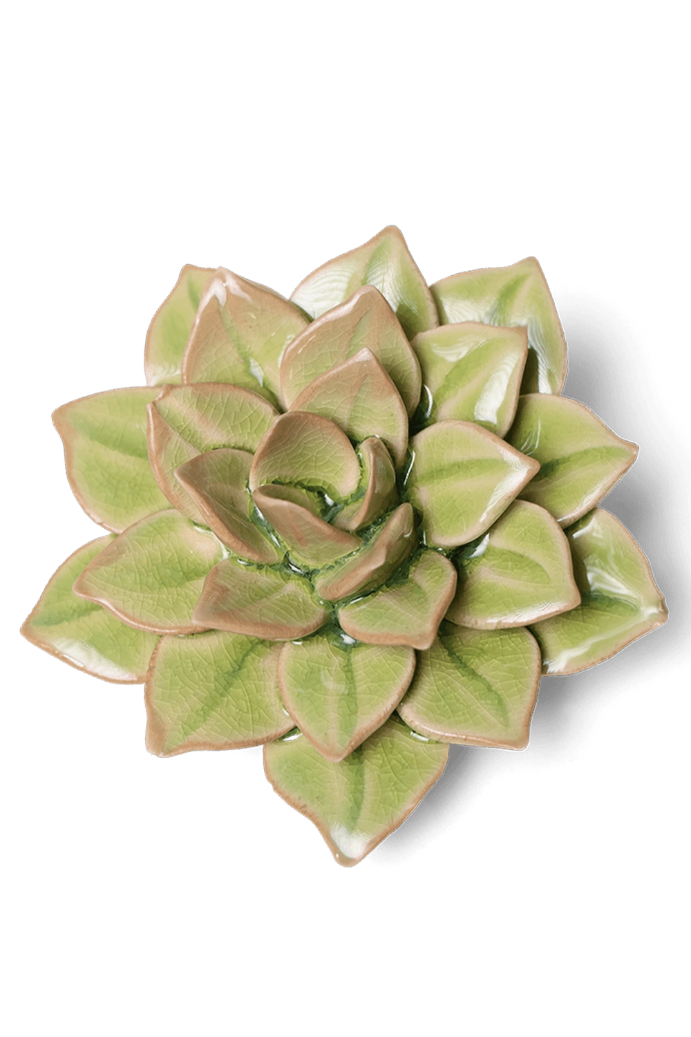 Peridot Green - Fairy Echeveria - handmade by Chive Studio Toronto