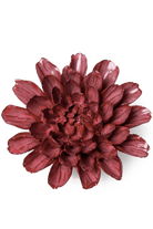 Blush Pink Star Dahlia - Chive UK