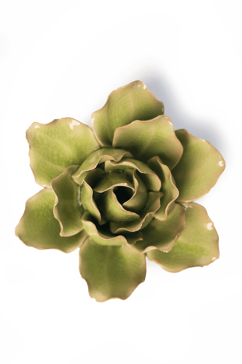 Peridot Stargazer Lily - Chive UK