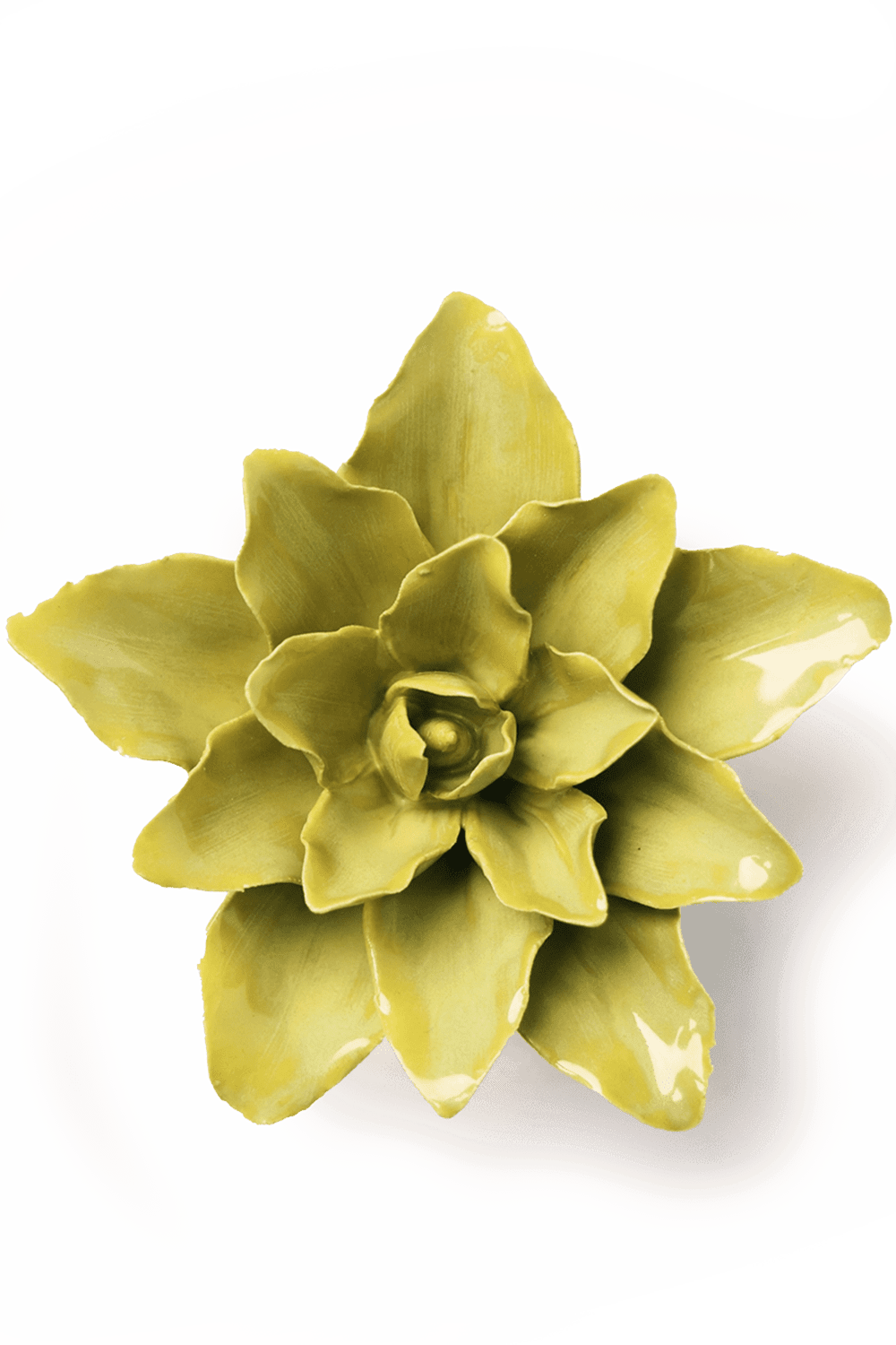 Chartreuse Tiger Lily - Chive UK
