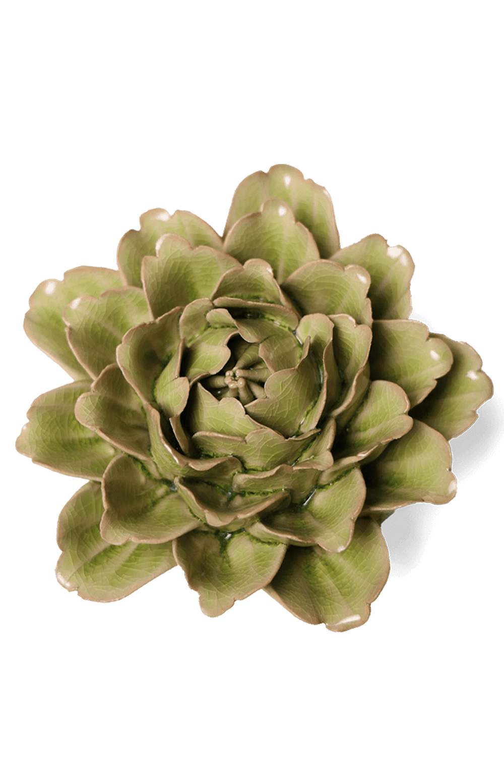 Peridot Comanche Peony - Chive UK