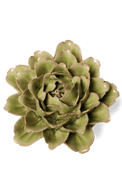 Peridot Comanche Peony - Chive UK