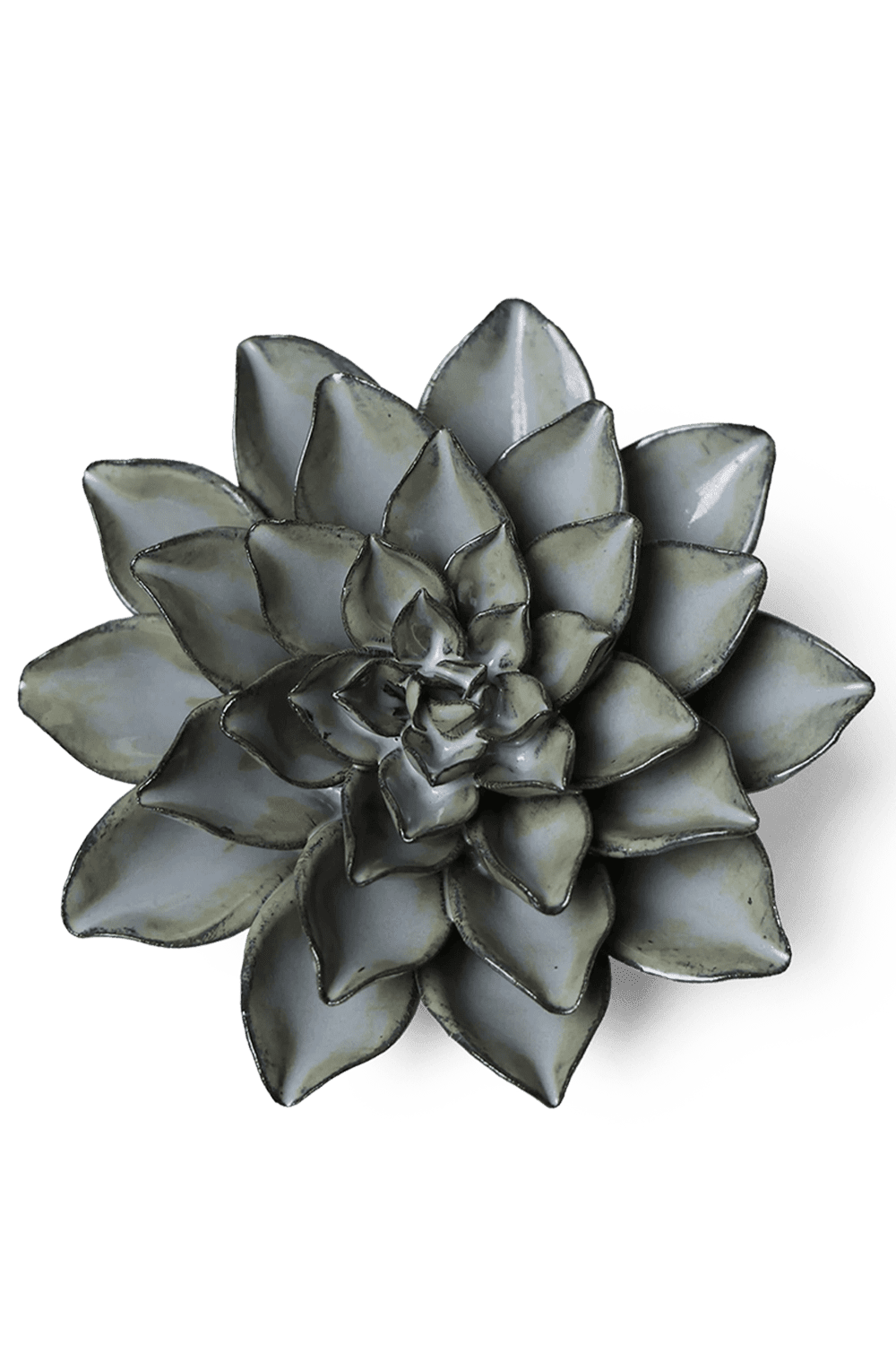 Grey Goyet Azalea - Chive UK