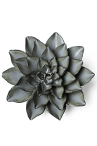 Grey Goyet Azalea - Chive UK