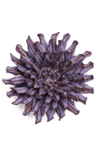 Violet Blue Fleur De Lis Mum - Chive UK