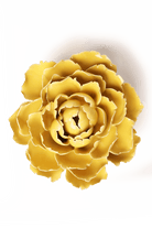 Buttercup Yellow Gay Paree Peony - Chive UK