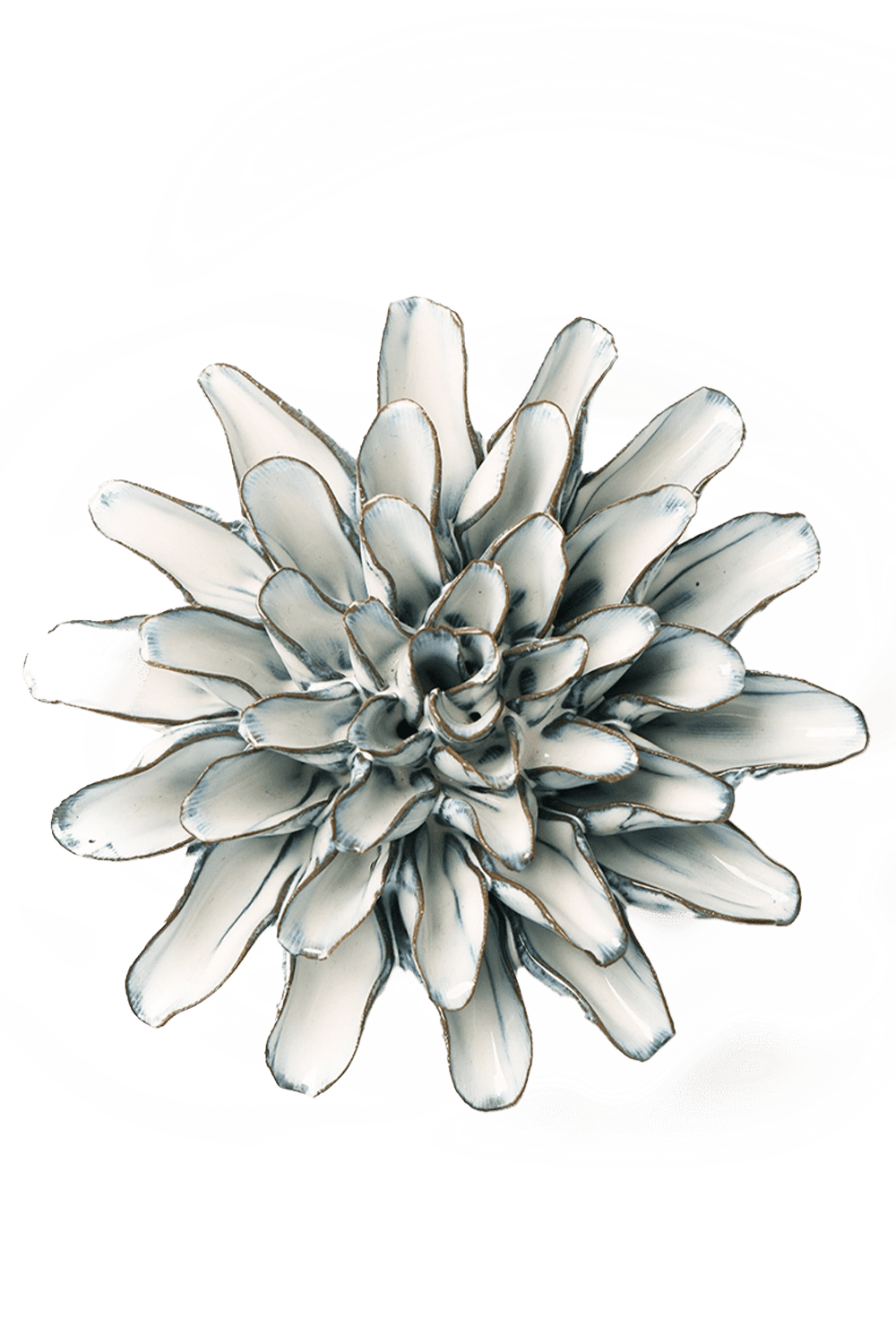 Blue White Lexi Cornflower - Chive UK