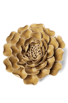 Caramel Charm Peony - Chive UK