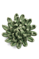 Jade Green Succulent - Chive UK