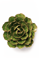 Avocado Green Keiko Peony - Chive UK
