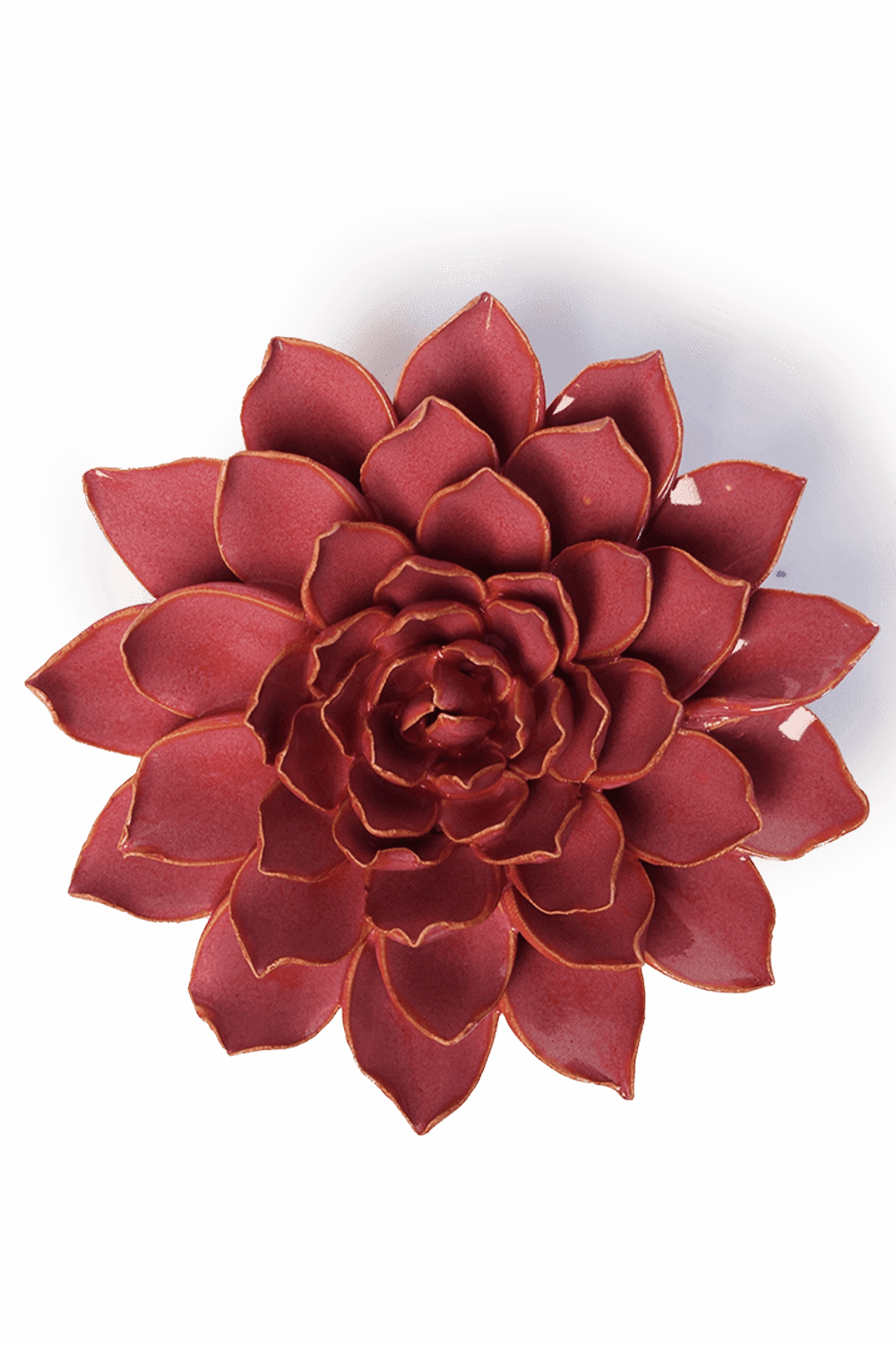 Blush Pink Madonna Azalea - Chive UK