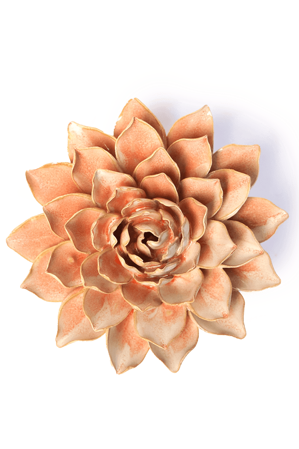 Peach Pink Madonna Azalea - Chive UK