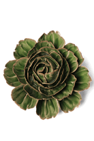 Avocado Green Rozella Peony - Chive UK