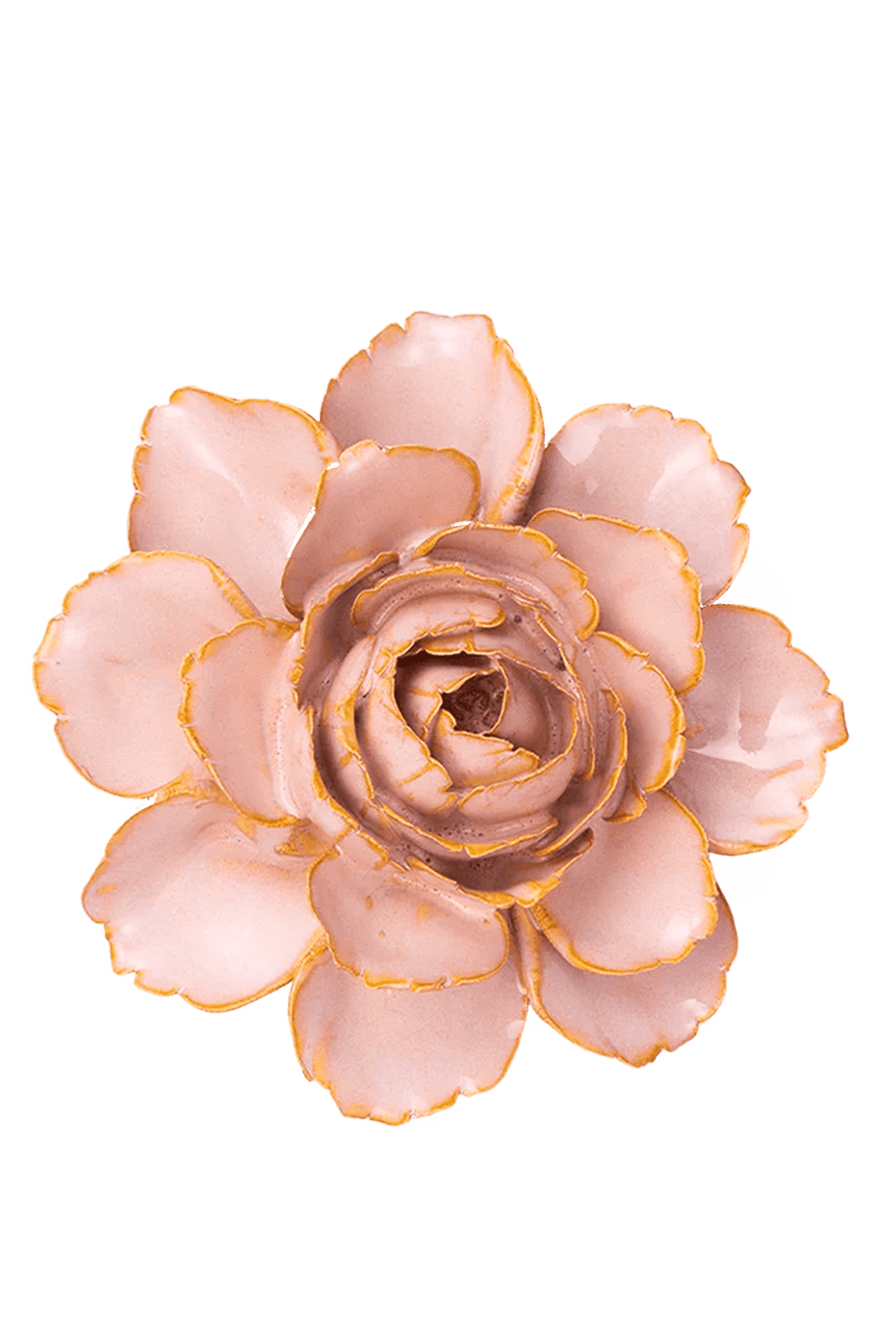 Rose Pink Camellia - Chive UK