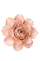 Rose Pink Camellia - Chive UK