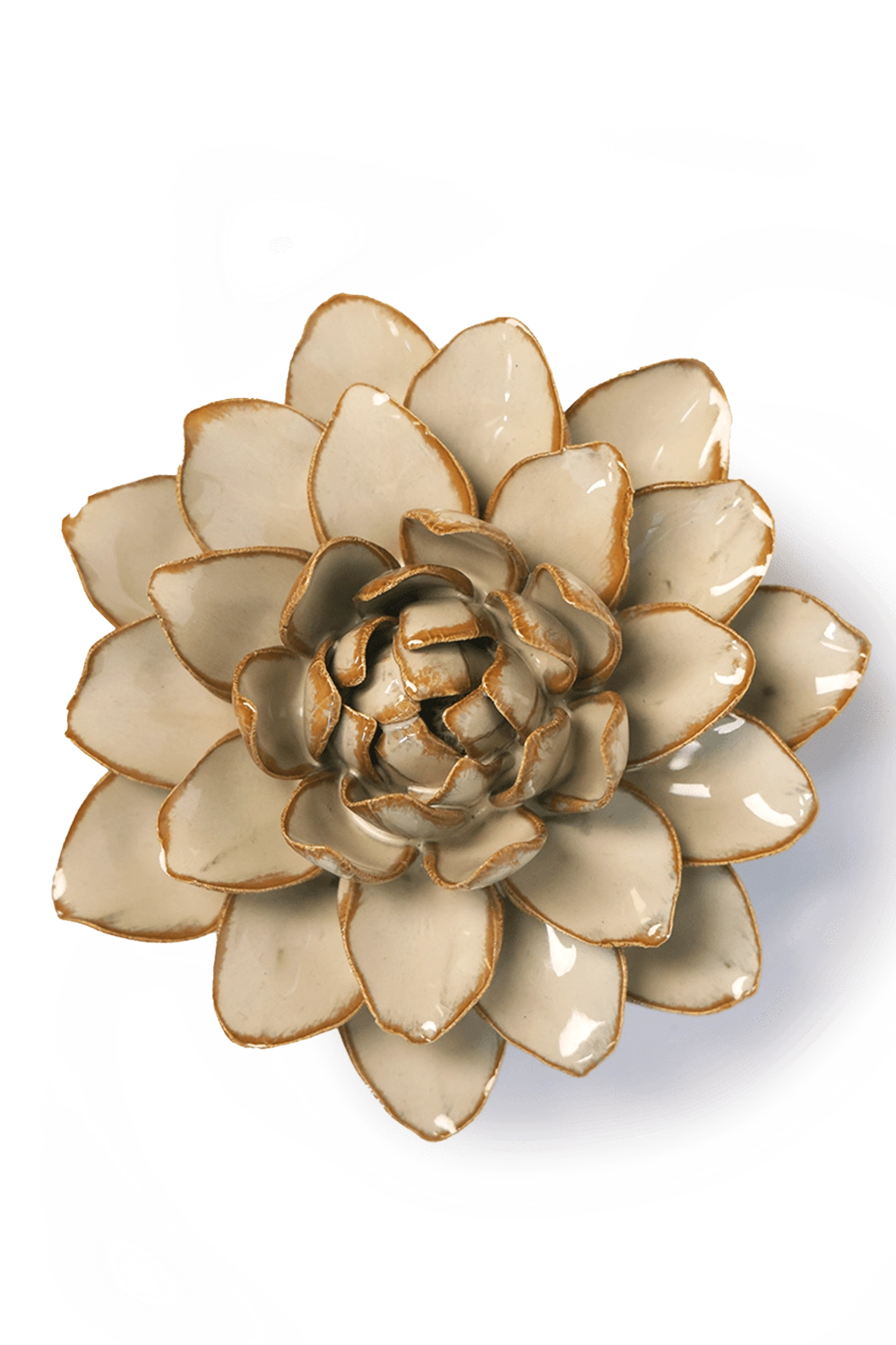 Oatmeal - Starbrite Water Lily - handmade by Chive Studio Toronto