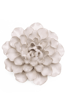Ivory European Water Lily - Chive UK