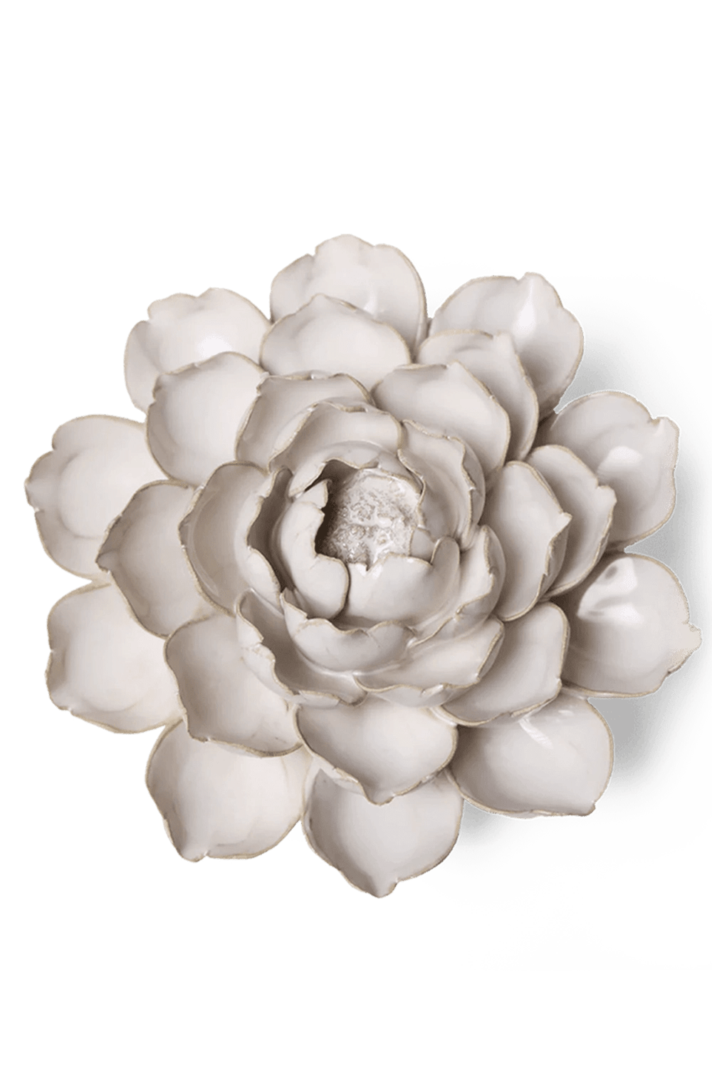 Ivory Empire Cabbage Flower - Chive UK