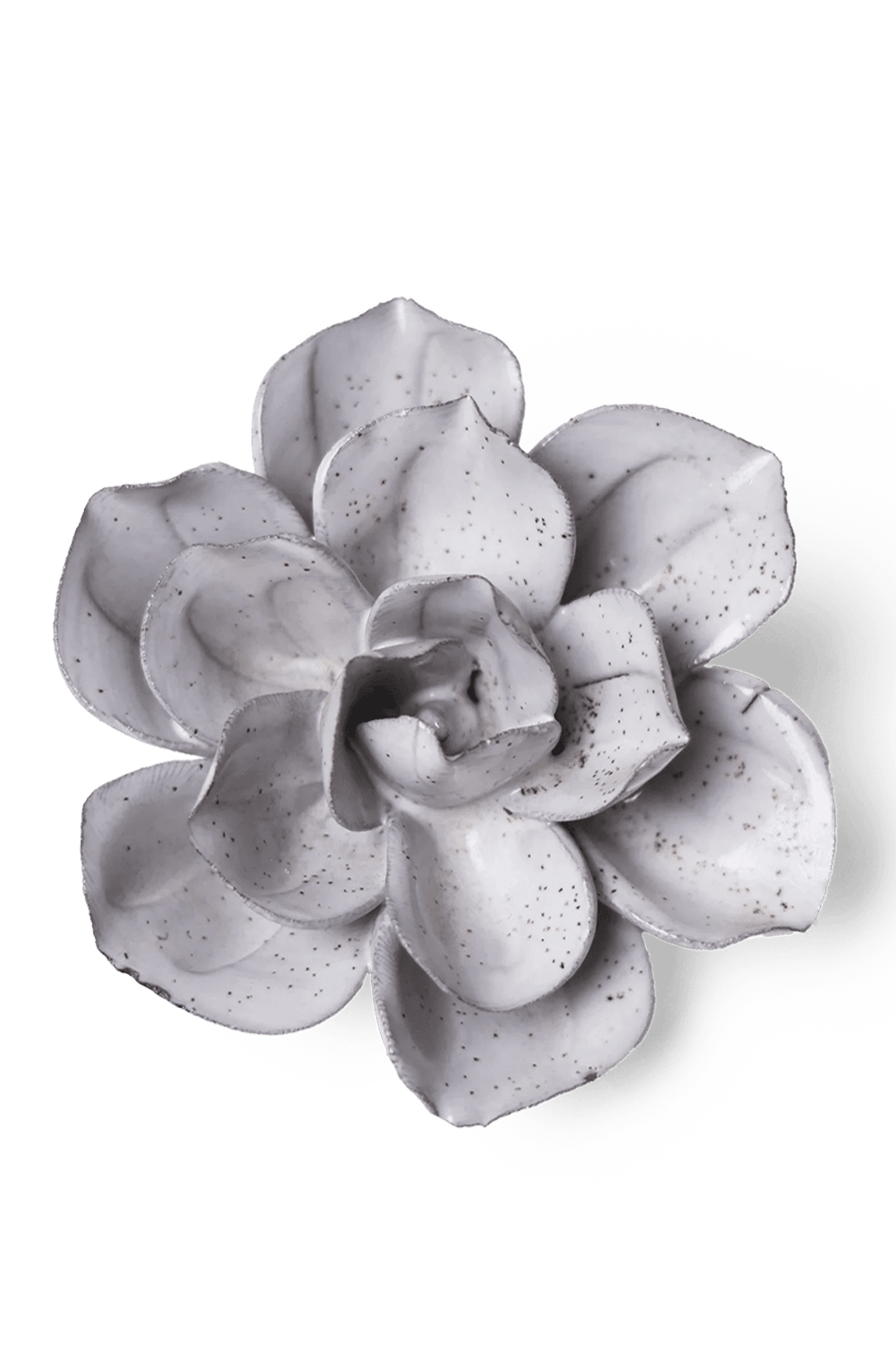 Cement Aqualla Gardenia - Chive UK