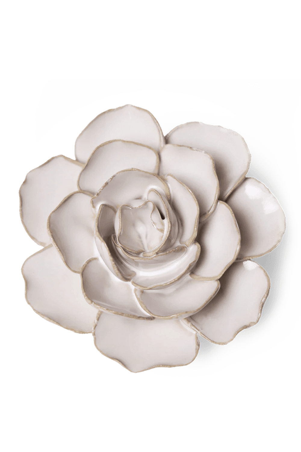 Ivory Amandine Ranunculus - Chive UK