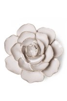 Ivory Amandine Ranunculus - Chive UK