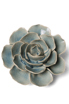 Powder Blue Amandine Ranunculus - Chive UK