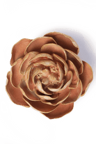 Peach Pink Big Ben Peony - Chive UK