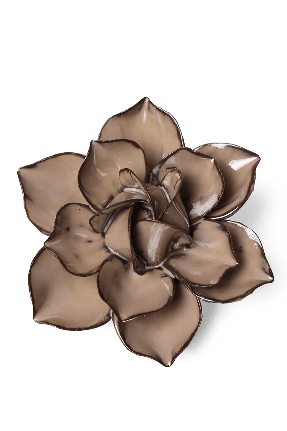 Latte Daffodil - Chive UK