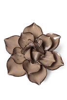 Latte Daffodil - Chive UK