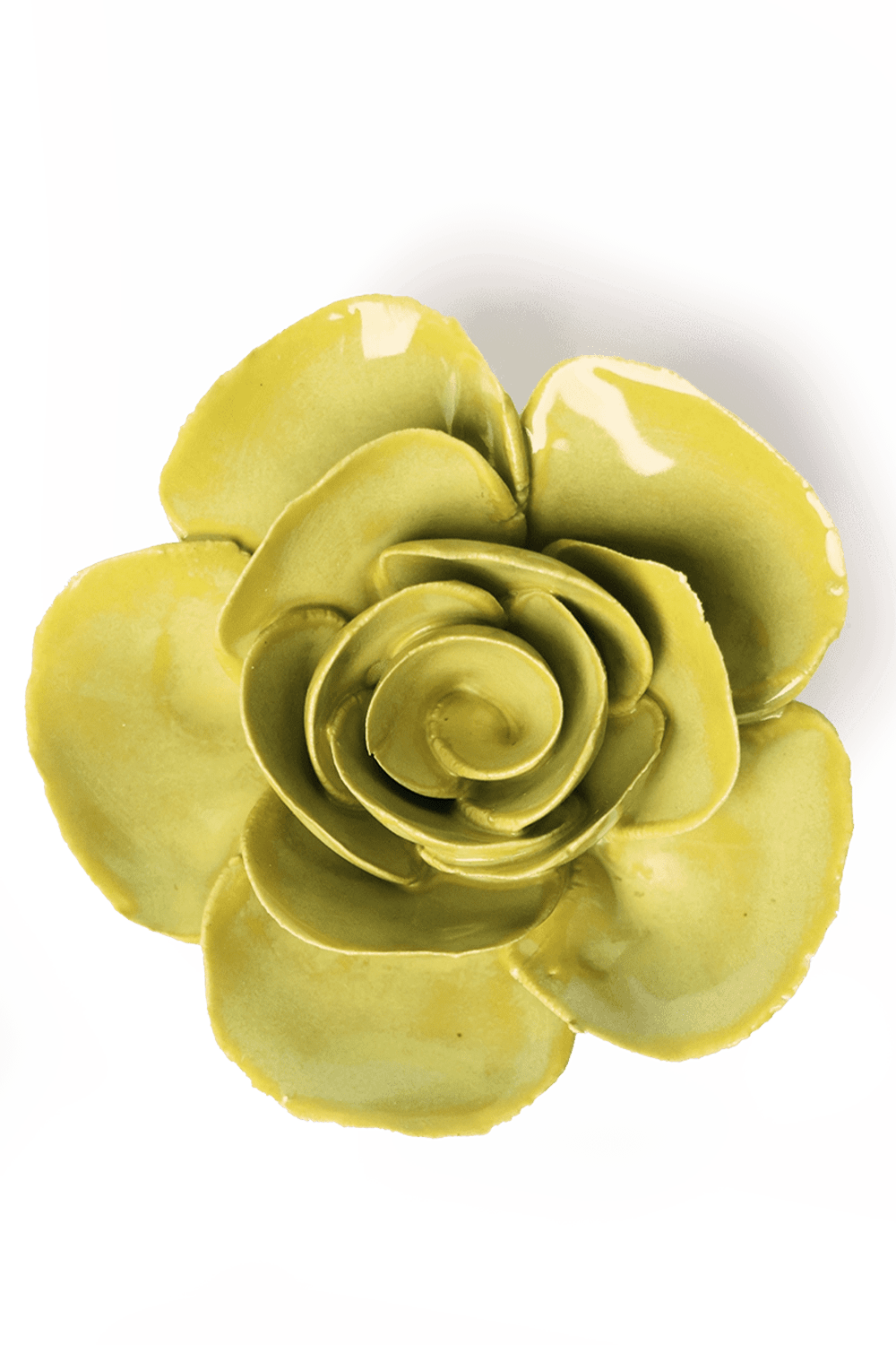 Chartreuse Elegance Ranunculus - Chive UK