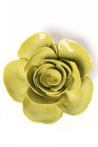 Chartreuse Elegance Ranunculus - Chive UK