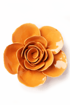 Orange Elegance Ranunculus - Chive UK