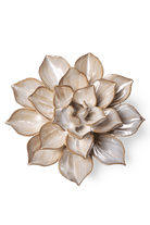 Metallic Frikartii Aster - Chive UK
