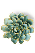 Robin's Egg Blue French Marigold - Chive UK
