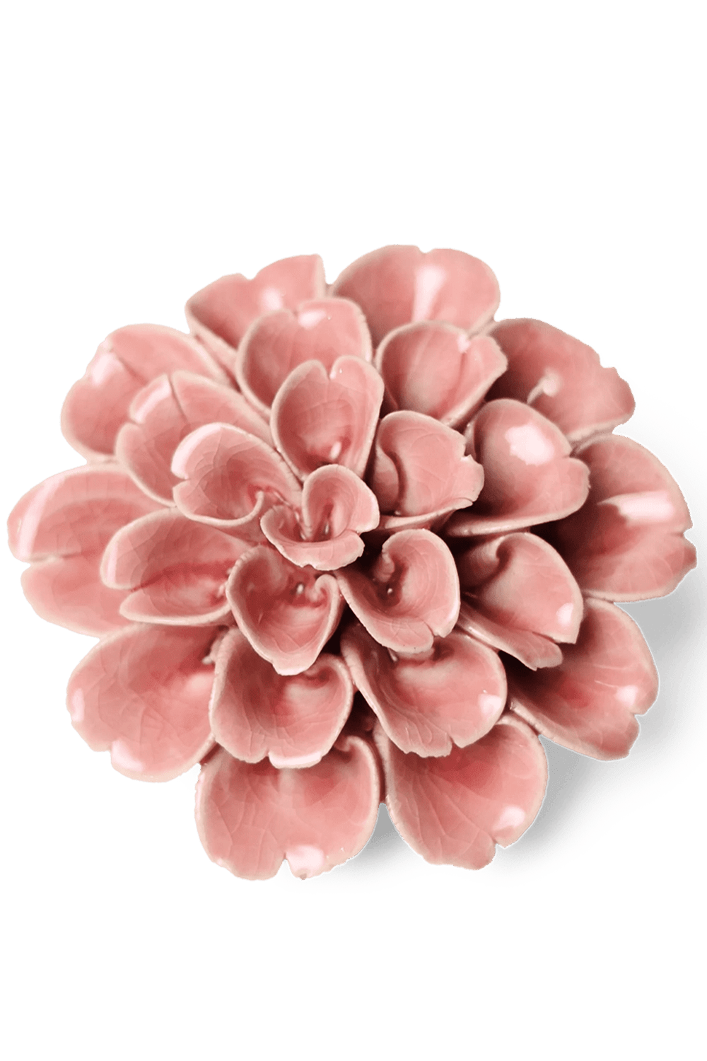 Champagne Pink - Hydrangea - handmade by Chive Studio Toronto