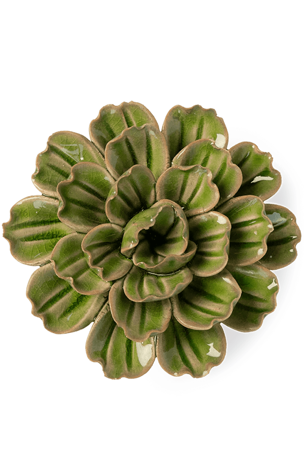 Avocado Green Petunia - Chive UK